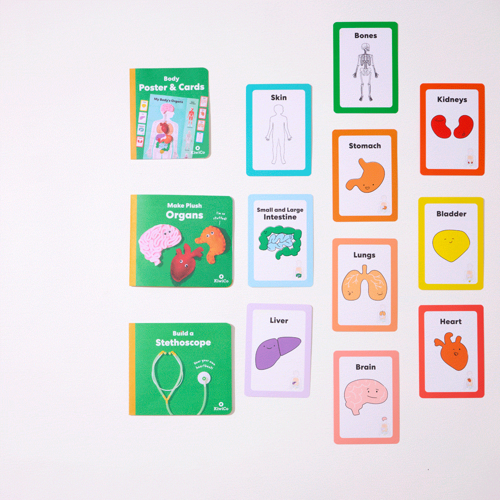 からだキットの同梱物一覧